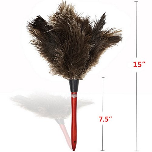 Plumero con mango de madera rojo/gris plumas de avestruz/mano plumero  15 "