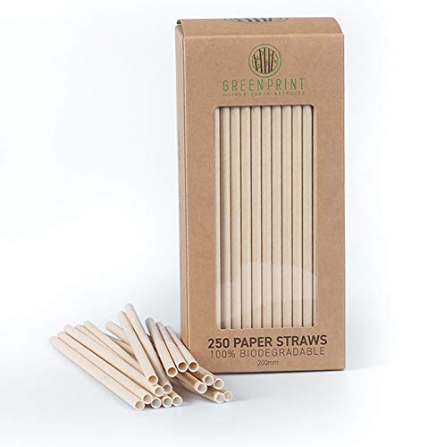 GREENPRINT - 250 paper straws biodegradable - Eco Friendly Straws for Juice, Soda, Cocktails, Shakes - Great for Birthday Parties, Cake Pop Sticks