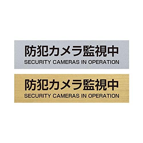 NEW�y�T�C���L���O�_���z�T�C���v���[�g �y�h�ƃJ�����Ď����z �X�e�����X�� sign-p0019 (210mm×50mm, �X�e�����X���E��)