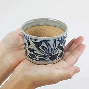 Wazakura Banko Series Blue and White Porcelain Ceramic Bonsai Pot 35 in 90 mm Made in Japan Small Garden Planter Flower Vase Cactus and Succulent Bowl Ornate Flower