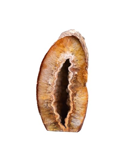 AMOYSTONE Natural Brown Agate Geode...