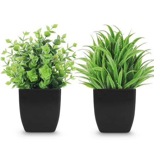 BTSD-home Lot de 2 petites plantes artificielles en pot pour maison, bureau, salle de bain, bureau, étagère, décoration de table (noir)