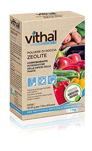 Integratore Polvere Di Roccia Zeolite Vithal Bio