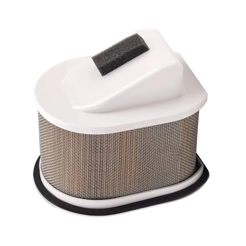 Filtre à air de moto à filtration optimale pour Kawasaki Z800 et Z750 ABS