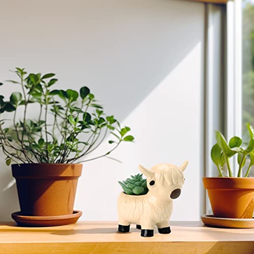 Tuitessine Highland Cow Succulent Plant Pot Ceramic Animal White Highland Cow Figurine Planter Scottish Toetom Cow Cactus Flower Pots Cow Gifts Farm House Decorations Farm Summer Animals Decor #TOP5