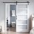 ROYMELO 36x80 Inch Glass Sliding Barn Door Slab and 6.6ft Hardware Kit Included, 5 Frosted Glass, LVL Wood Panel Covered with White Water-Proof Scratch-Proof PVC Surface, Simple DIY Assembly