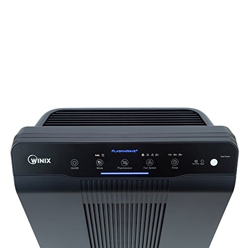 Winix 5500-2 Air Purifier with True HEPA, PlasmaWave and Odor Reducing Washable AOC Carbon Filter