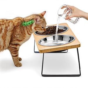 Cat Food Bowl for Indoor Cats – Elevated Stainless Steel Water Bowl, Tilted Raised Kitten Dish Set for Whisker Friendly and Anti Vomit, Feeding Station for Puppy and Pet
