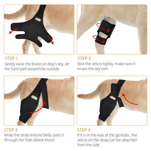 Suyare Dog Knee Brace, Dog Leg Brace For Acl With 10 Side Stabilizers, Dog Rear Leg Bracer Support For Knee Cap Dislocation, Leg Wounds Care, Keeps The Joint Warm And Stable (M) #TOP5