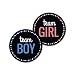 Deluxe Gender Reveal Party Stickers, Team Boy and Team Girl, Baby Shower Voting Labels, Party Supplies Decorations Games, Pink and Blue 60 Pack- 30 of each design