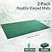 HERCOCCI 2 Pack Reptile Carpet, 39’’ x 20’’ Terrarium Bedding Substrate Liner Reptile Cage Mat Tank Accessories for Bearded Dragon Lizard Tortoise Leopard Gecko Snake (Green)