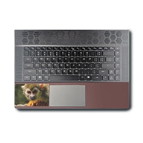 Image of MightySkins Skin Compatible with Alienware X16 R1 (2023) Full Wrap Kit - Squirrel Monkey | Protective, Durable, and Unique Vinyl Decal wrap Cover | Easy to Apply & Change Styles | Made in The USA