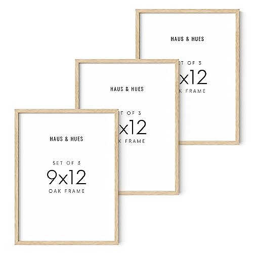 HAUS AND HUES Beige Oak Wood 9x12 Picture Frame - Modern Wood Wall Art Display - Lightweight 9x12 Frame for Art Prints, Photos, Posters - Ready-to-Hang Vertically & Horizontally (Set of 3)