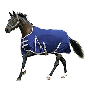 WeatherBeeta ComFiTec Essential Standard Neck Medium, Navy/Silver/Red, 78″