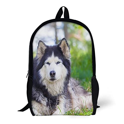 Sac à dos unisexe grand volume pour simplifier le rangement scolaire
