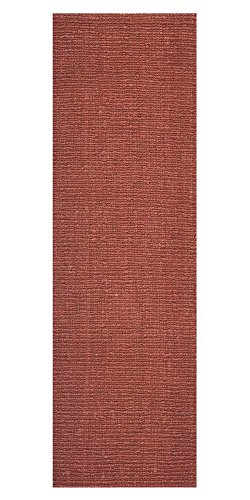 Safavieh Natural Fiber Rust Rug Rug Size: 2'6