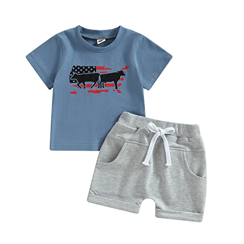 FYBITBO Toddler Baby Boy Clothes Summer Short Sleeve T Shirts Top Shorts Western 4th of July Baby Boy Outfit (z blue cow,0-6 Months)