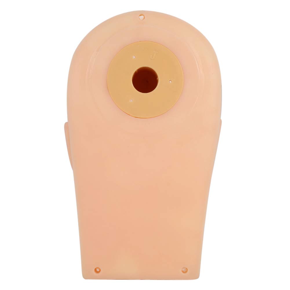 Kits de entrenamiento de extensión de pestañas con cabeza de maniquí pestañas falsas pinzas rectas pegamento labial cosmetología facial práctica de tatuaje