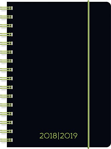 Brunnen Schülerkalender 2018/2019 Wire-O A5, Plain...