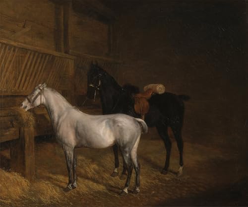 Affiches et gravures un destrier gris et noir décoration murale moderne tableau étable 60x90