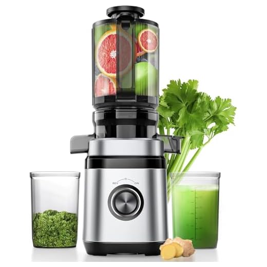 Juicer Machines, Cold Press Juicer with 4.41" Wide Feed Chute, 350W Slow Masticating Juicers for Whole Vegetables & Fruits, High Juice Yield, Easy to Clean, Large Auger, Silver
