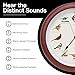 Mark Feldstein, The Original Singing Bird Clock, 25th Anniversary Edition, 13 Inch, Premium Cherry