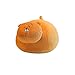 Anime Himouto! Juguetes De Peluche Umaru-Chan, MuñEco De Peluche Suave Creativo, Cojines, Regalo De CumpleañOs para NiñOs, NiñAs Y Adultos