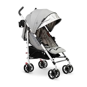 Baby Delight | Swerve Stroller | Lightweight | for Travel & Everyday | Multi-Position Recline | Compact Fold | Extra Storage | Grey