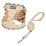 DORAMIO Step-in Dog Harness and Leash Set, Soft Mesh No-Chock Reflective Breathable Easy Walk Lightweight Vest Harnesses with Safety Buckle for Small Dogs, Cats, Puppies (Beige Yellow, XXS)