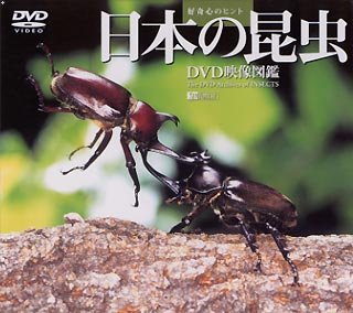 【中古】日本の昆虫 DVD映像図鑑 413VtvIk8IL.jpg