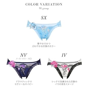 Amazon.co.jp: Wacoal サルート Salute 23AW先行 91G PTJ791