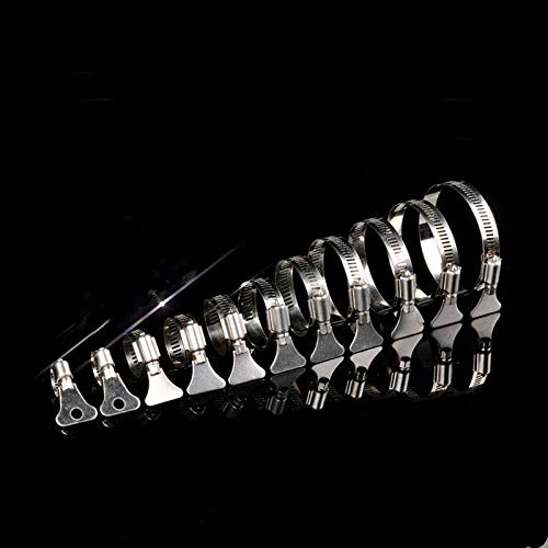 Fascette Stringitubo da 8 Mm-12 Mm/10-16 Mm/13-19 Mm/16-25 Mm/19-29 Mm, 50 Fascette Stringitubo con Maniglia in Acciaio Inox 304/Color/25-38Mm