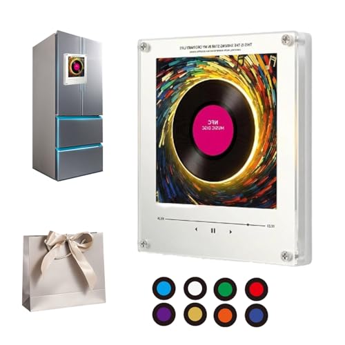 Reproductor musical NFC para nevera con discos vinilo premium 2