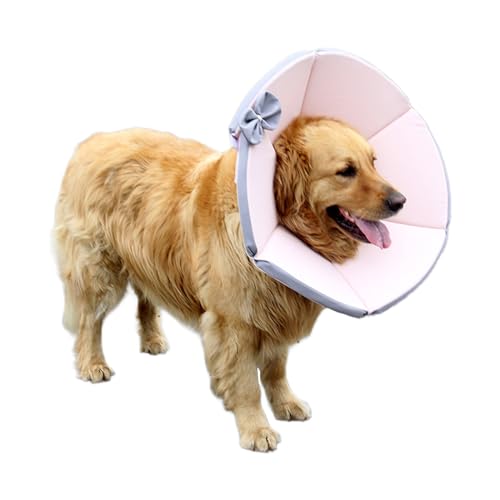 Collar protector de recuperación carotoe contra tirones de puntos y lamidos 8