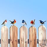 Zzbakress 5 Pcs Vivid Bird Yard Decorations Natural Fence Decorations Outdoor Artificial Bird Color Painted 2D Sculptures for Outdoor Fences, Garden, Patio and Bird Lovers (Vivid Bird)