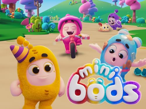  Minibods