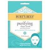 Burt's Bees Purifying Sheet Mask With Kiwi Extract Mask, 0.33 Ounce