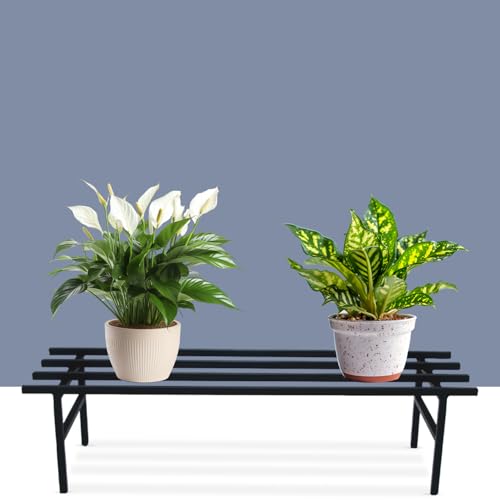 Image of BonKaso Heavy Duty Rectangle Plant Stand: 76x24x18 cm, Black - Set of 4, Modern Design for Indoor & Outdoor Use, Sturdy, Anti-Rust Planter Stand for Garden, Balcony, Patio