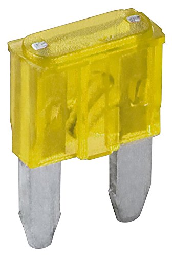 Fixpoint - Assortiment de minis fusibles, 20A, jaune, 6