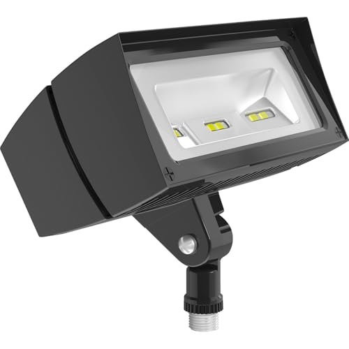 RAB Lighting Future Flood 18W 5000K LED