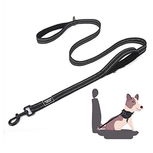 Joyride Harness 2-in-1 Leash with Seat Belt Combo, 43” Dual Use Pet Safety Seatbelt, Dual Handle and Car Safety Buckle, Thick Heavy Duty Nylon & Retractable Harness Clasp - Reflective Safety Stitching