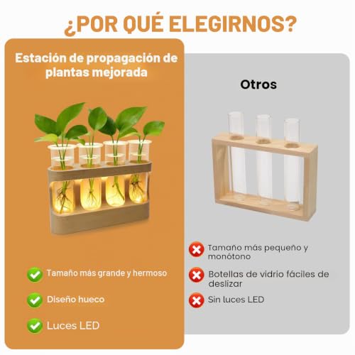 Jarrones de vidrio hidropónico decorativos con luces LED para interior 5