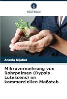 Mikrovermehrung von Rohrpalmen (Dypsis Lutescens) im kommerziellen Ma?stab 6205390353 Book Cover