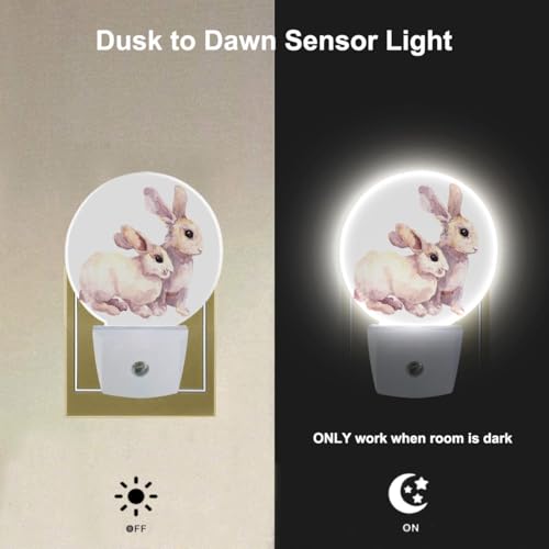 Image of EKOBLA Easter Bunny Night Light, White Rabbit Night Lights Plug Into Wall with Auto Sensor for Kids, Women and Happy Easter Decor