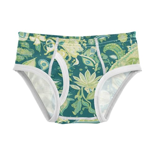Traditional Oriental Paisley Pattern Vintage Watercolor Toddler Boy Cotton Kids Underwear Cute Children Undies