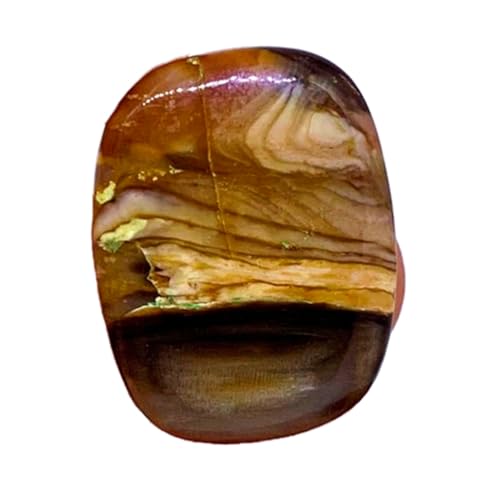 Cabochon fossile naturel haut de gamme 28x21x4 mm, gemme d'exception pour joaillerie artisanale