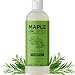 Pure Tea Tree Oil Shampoo - Natural Essential Oil Anti-Dandruff Shampoo For Dry Itchy & Flaky Scalp - Anti-fungal & Anti-Bacterial - Sulfate Free Hydrating Cleanser - Prevent Head Lice & Thinning Hair