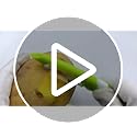 2 Pezzi Pelaverdure Girevole Multifunzionale, Peeler Frutta in Acciaio Inossidabile, Dritto Pelapatate, Multifunzione Tagliaverdure e Affettaverdure (Verde) - immagine 6