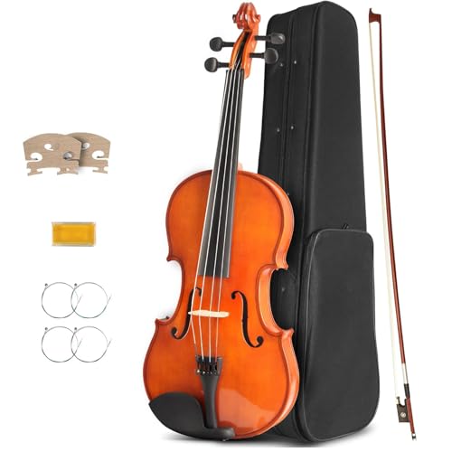 4/4 Violin for Beginners