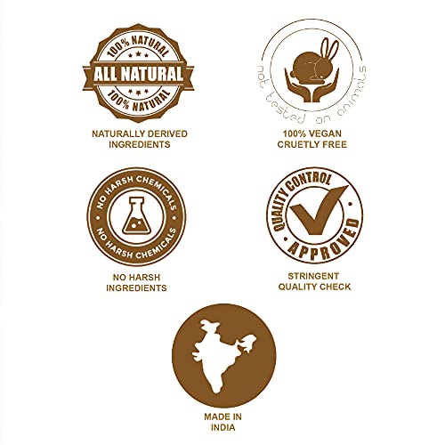 Organix Treasure Pure & Natural Aritha/Reetha/Ritha/Soapnuts (Sapindus Mukorossi) Powder For Silky & Smooth Hairs, 100gm